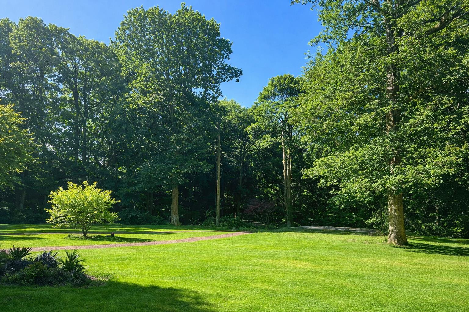 Upper Durford Wood, Petersfield, West Sussex, GU31.