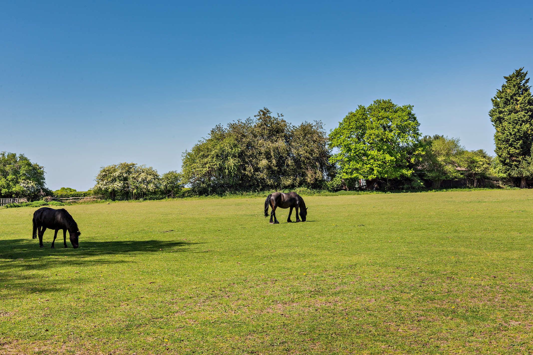 Headley Lane, Passfield, Liphook, Hampshire, GU30
