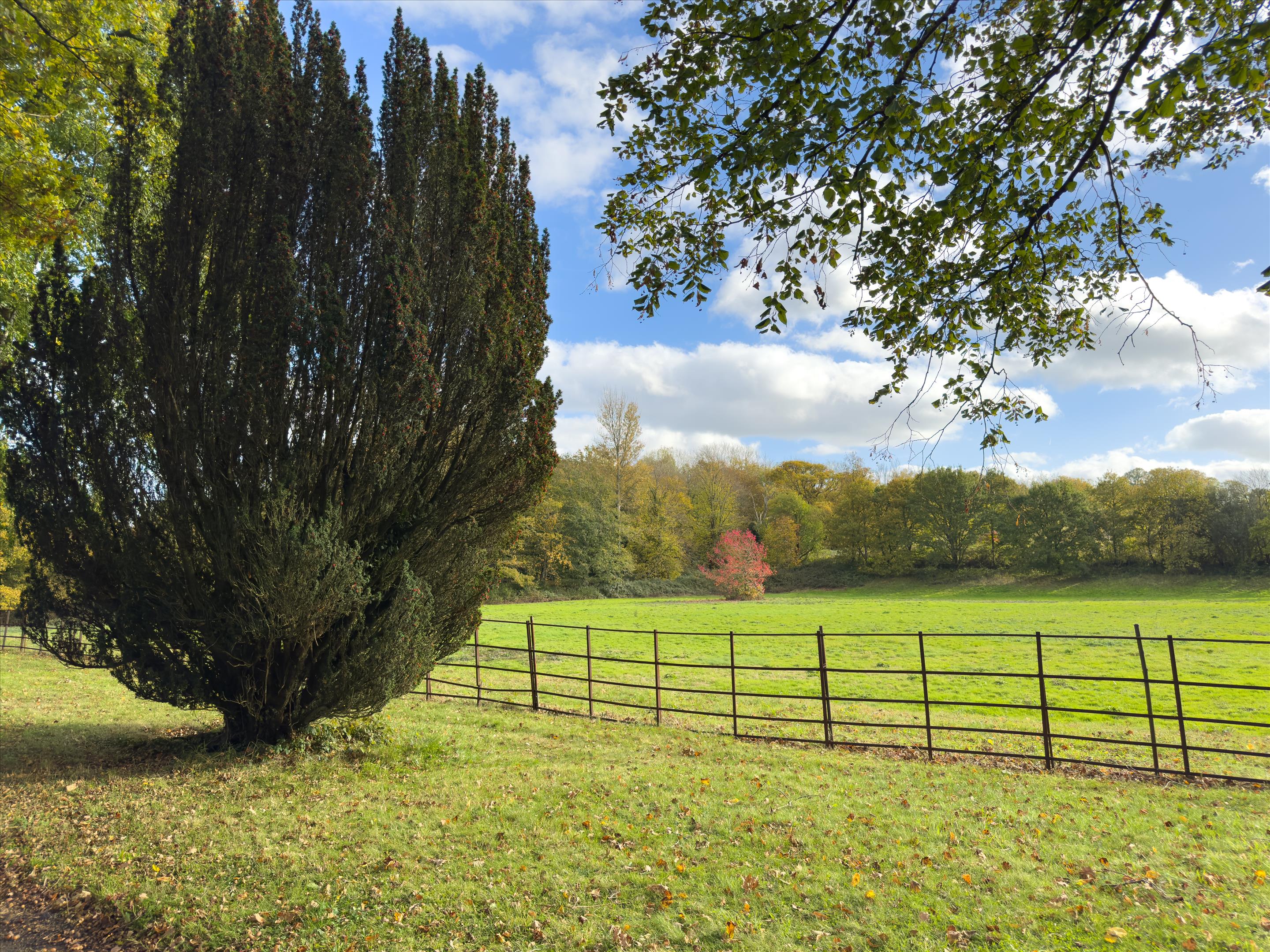 Holmsted Manor, Cuckfield, Haywards Heath, West Sussex RH17