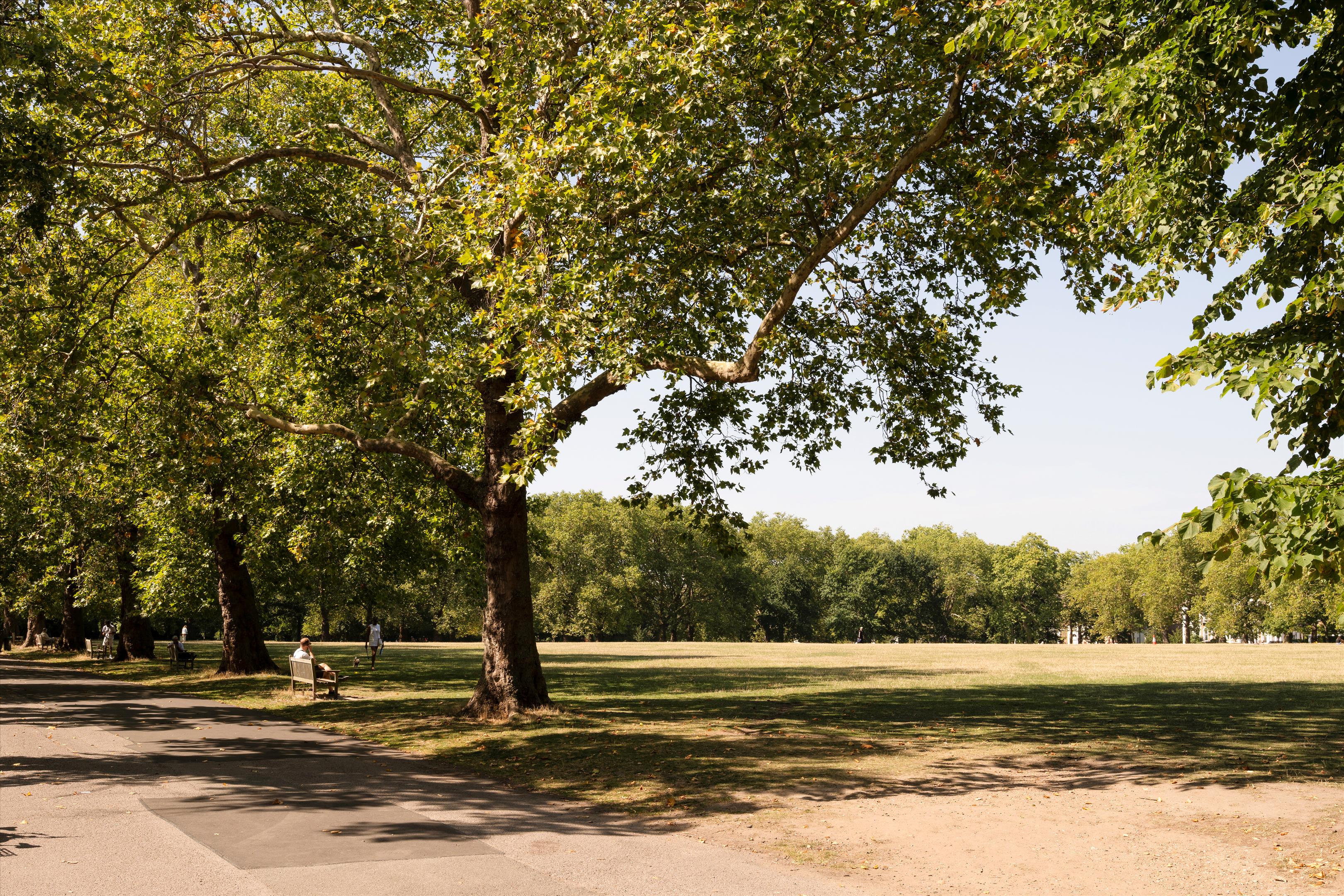Highbury Place, London, N5