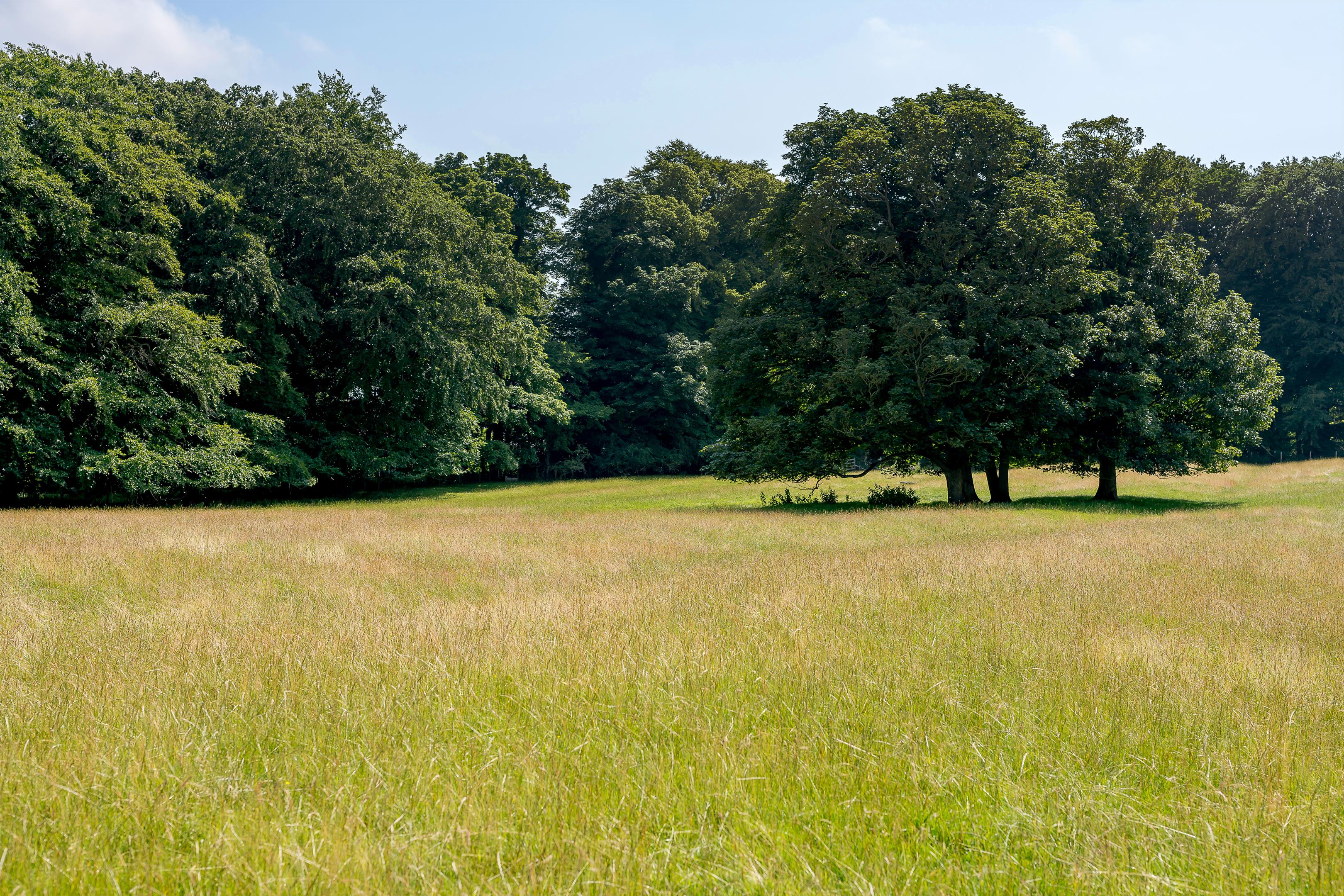 Milbourne, Newcastle upon Tyne, Northumberland, NE20
