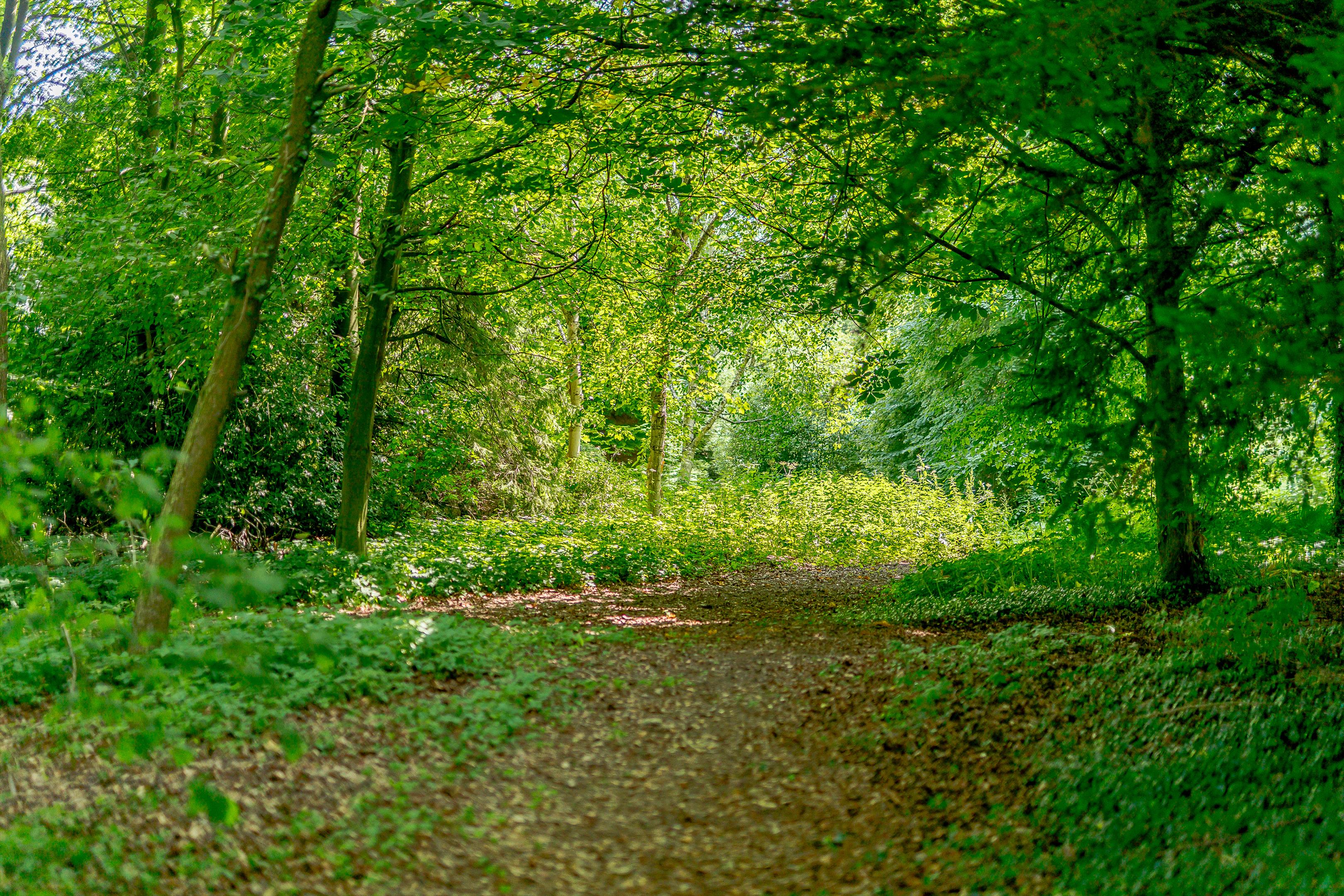 Milbourne, Newcastle upon Tyne, Northumberland, NE20