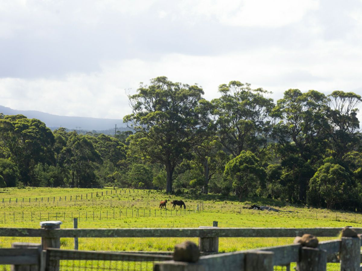 Woodstock, Shoalhaven, NSW