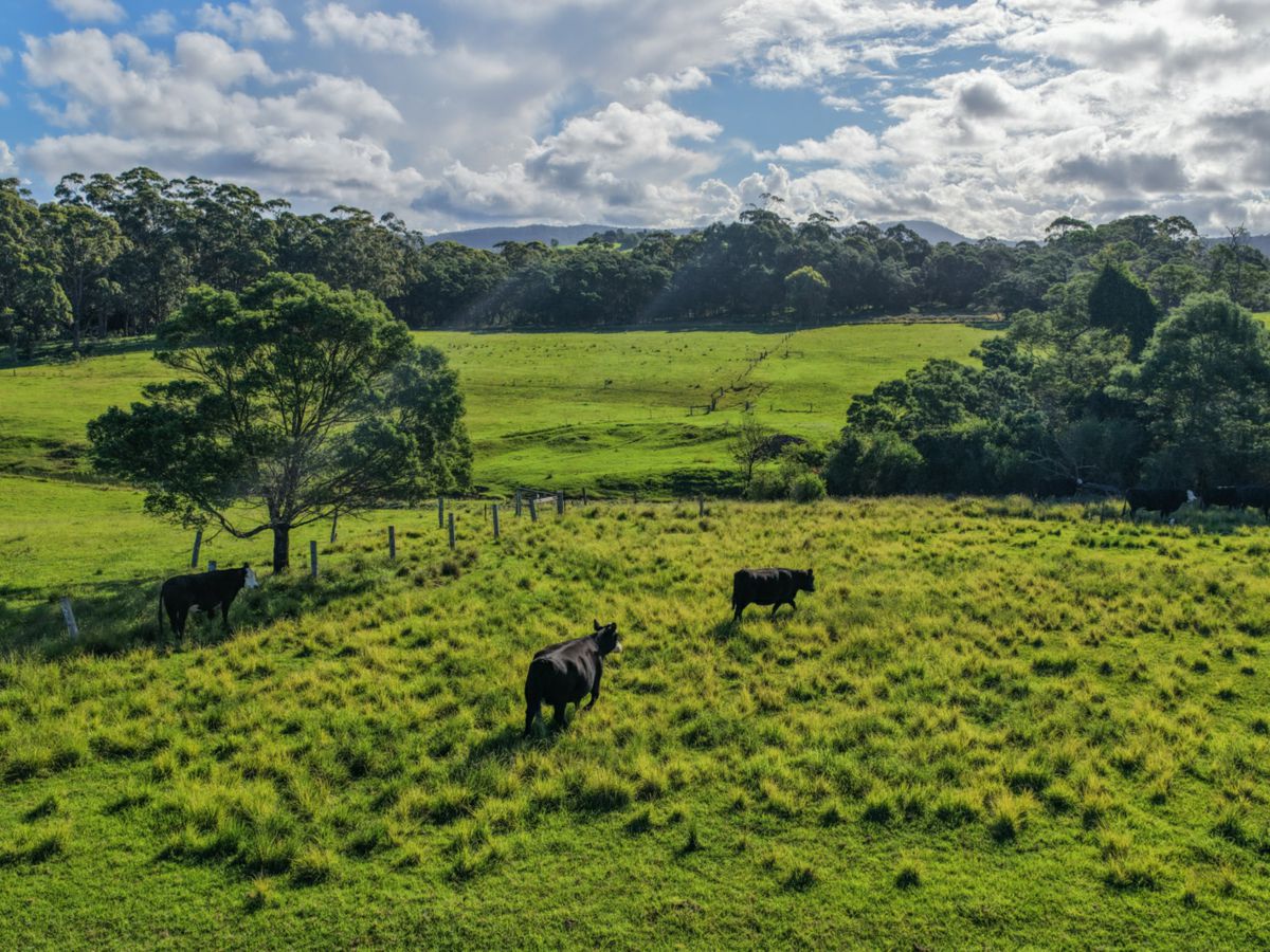 Woodstock, Shoalhaven, NSW
