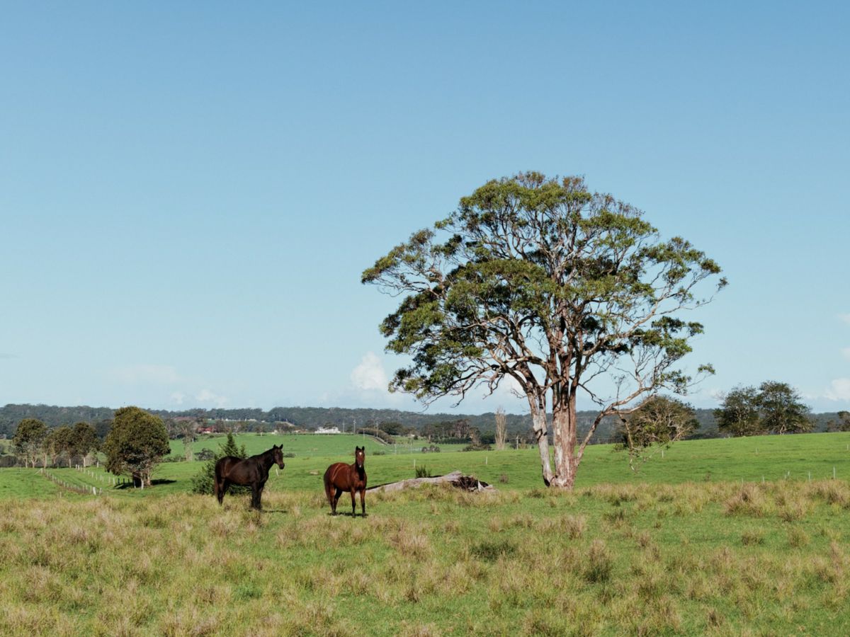 Woodstock, Shoalhaven, NSW