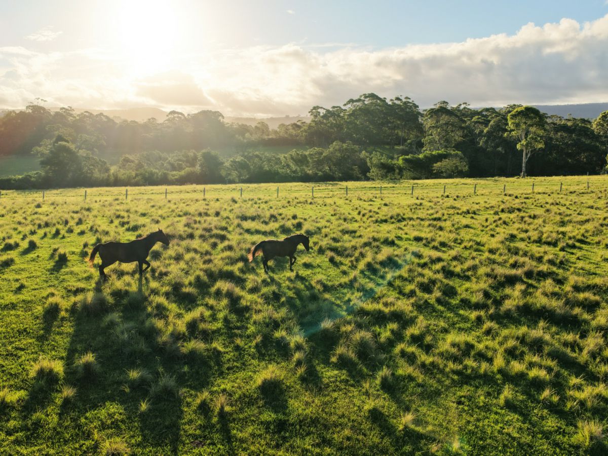 Woodstock, Shoalhaven, NSW