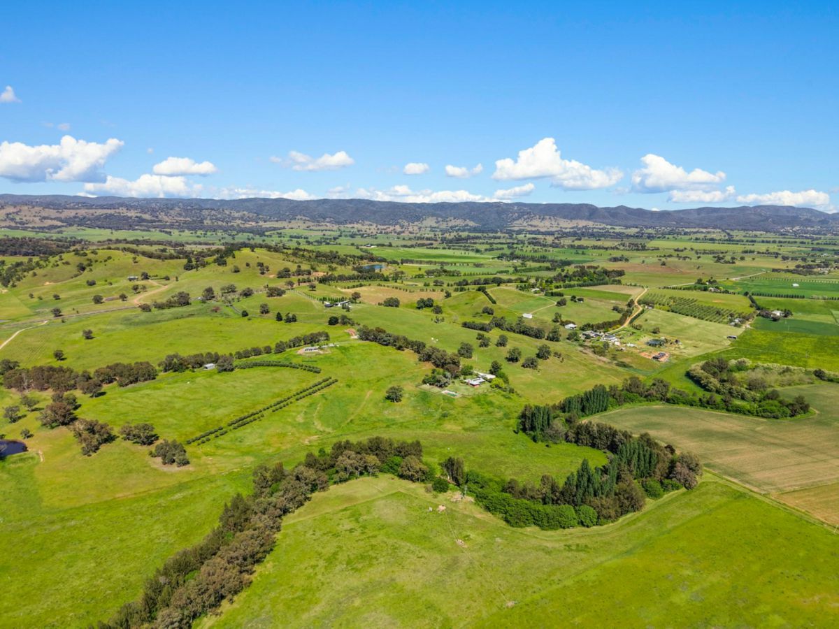 Mudgee, Central West, NSW