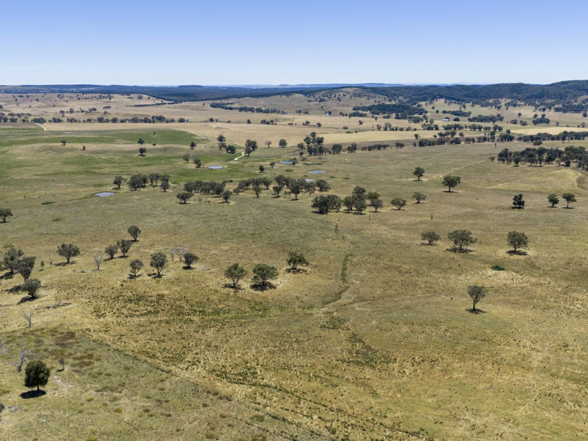 Gulgong, Central West, NSW