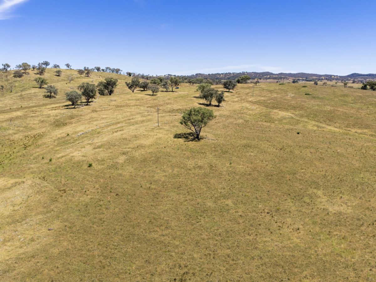 Gulgong, Central West, NSW
