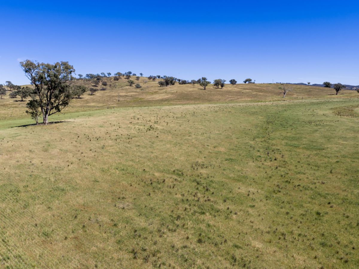Gulgong, Central West, NSW