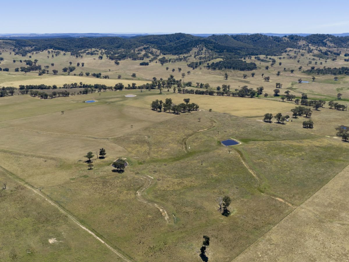 Gulgong, Central West, NSW