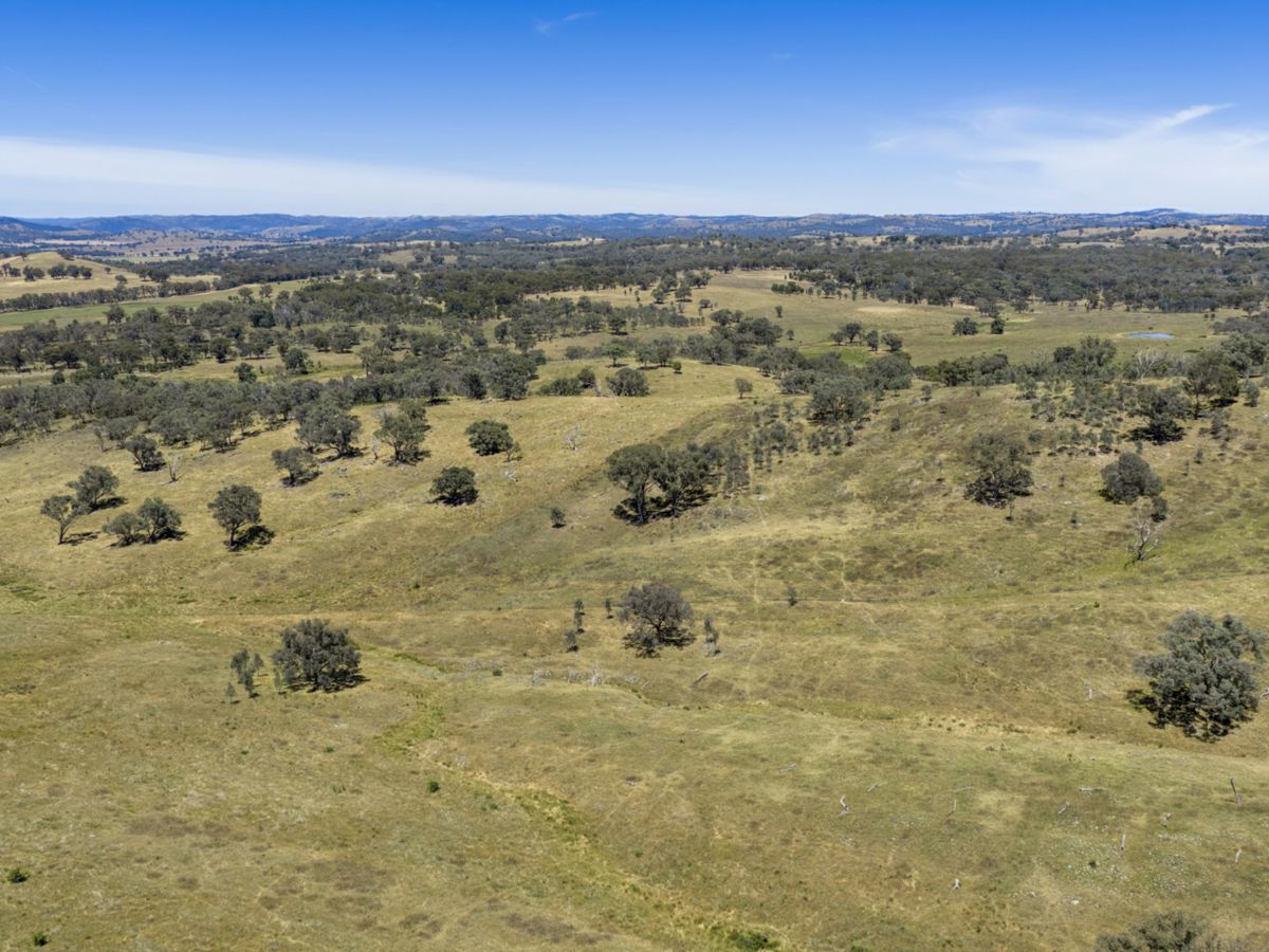 Gulgong, Central West, NSW