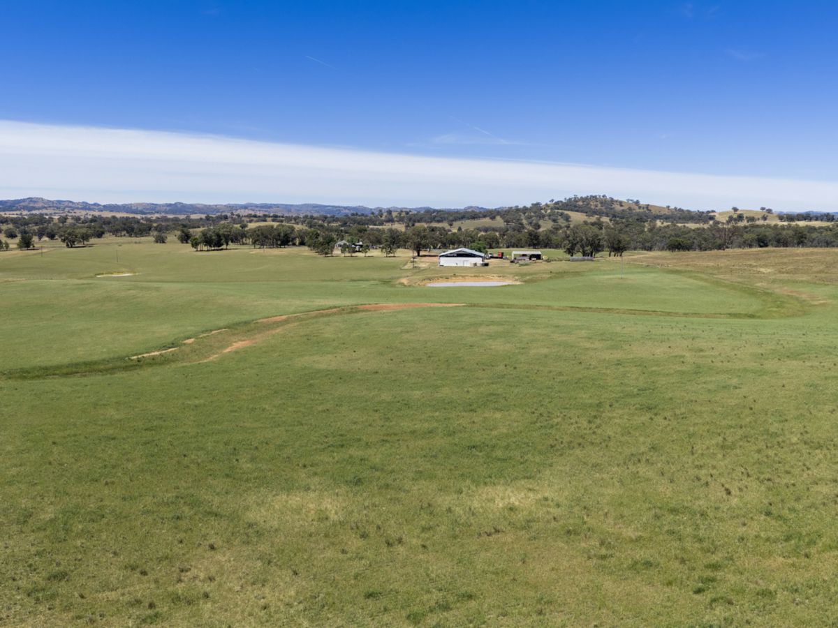 Gulgong, Central West, NSW