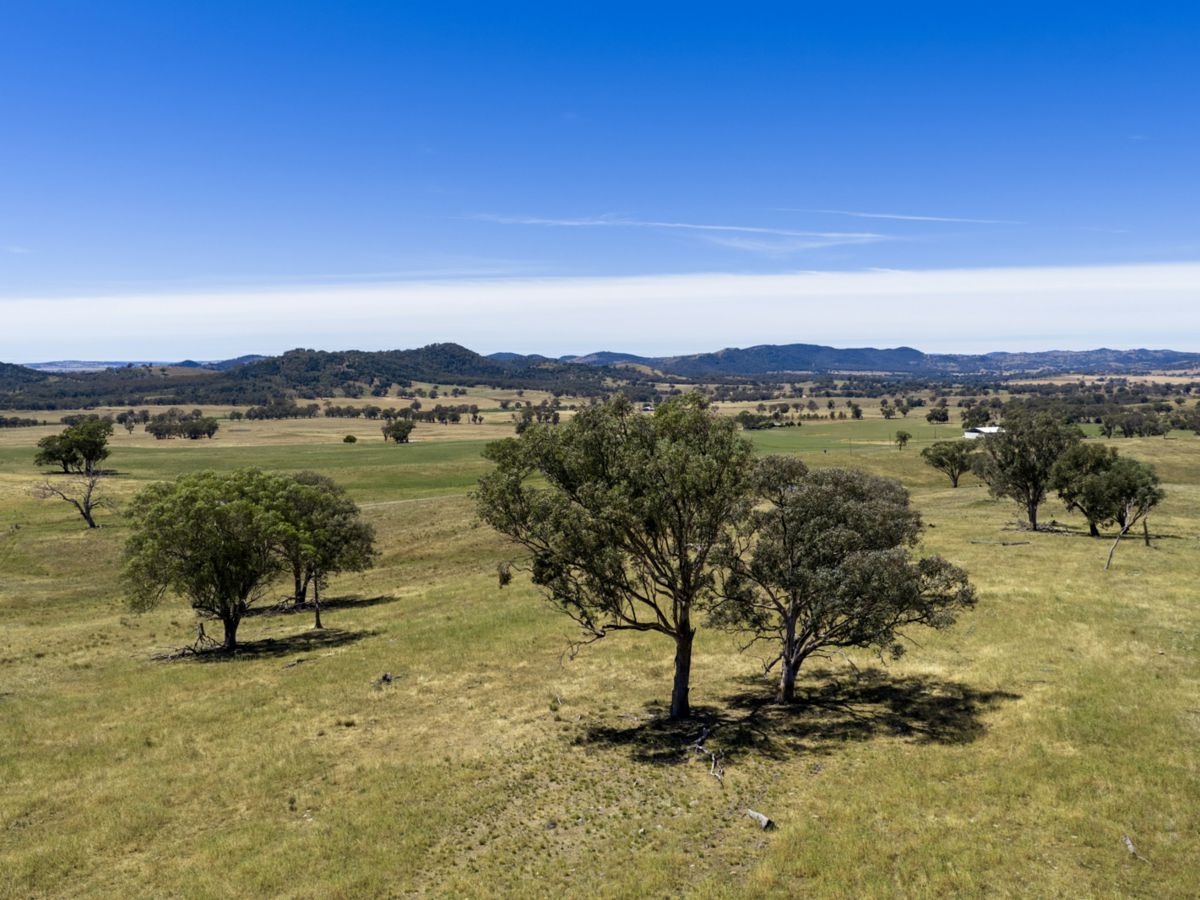 Gulgong, Central West, NSW