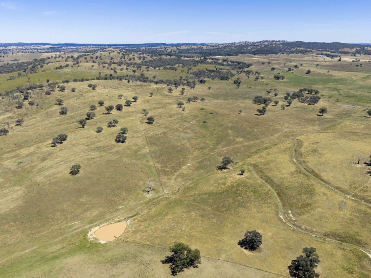 Gulgong, Central West, NSW