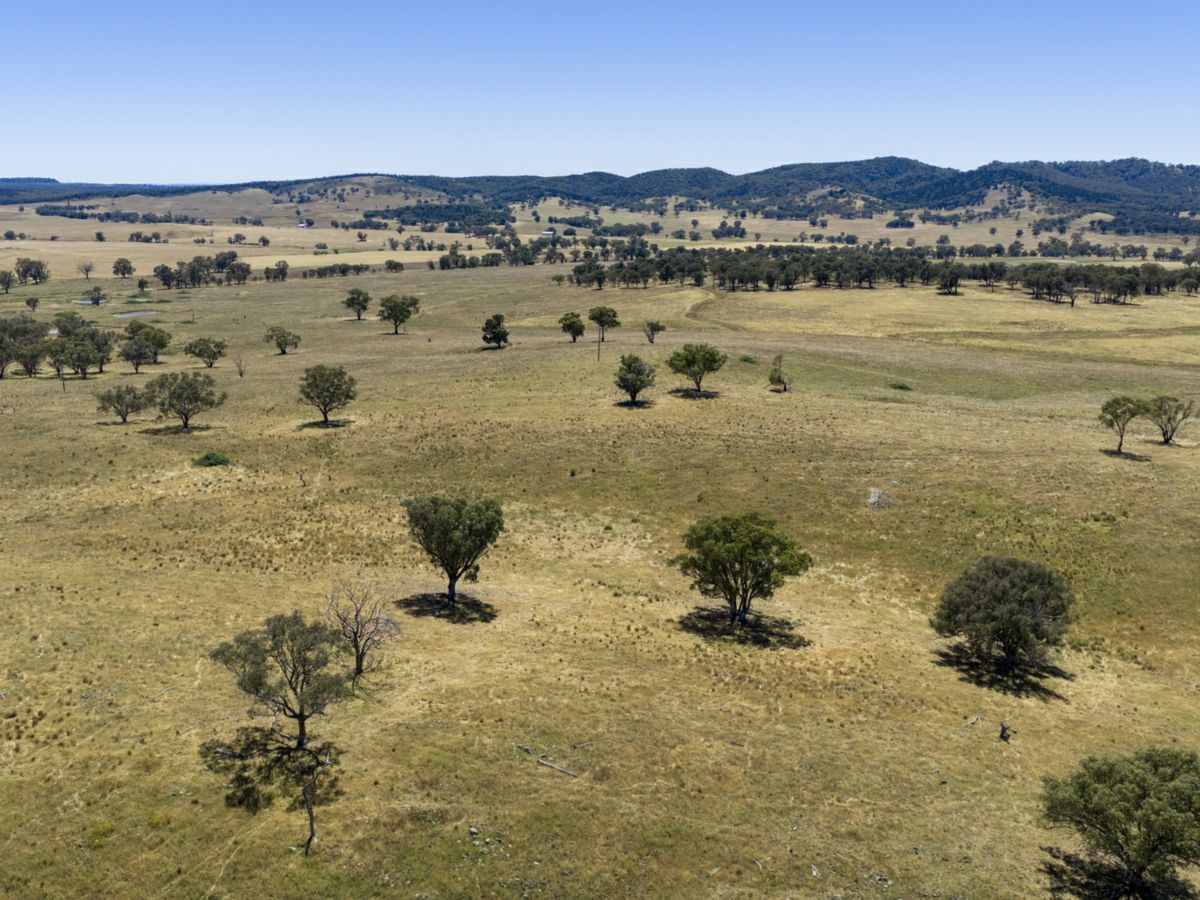Gulgong, Central West, NSW