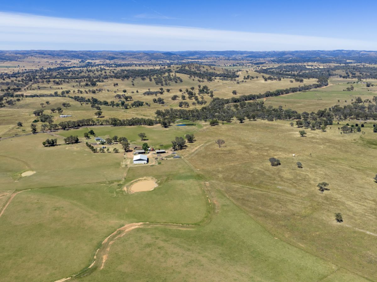 Gulgong, Central West, NSW
