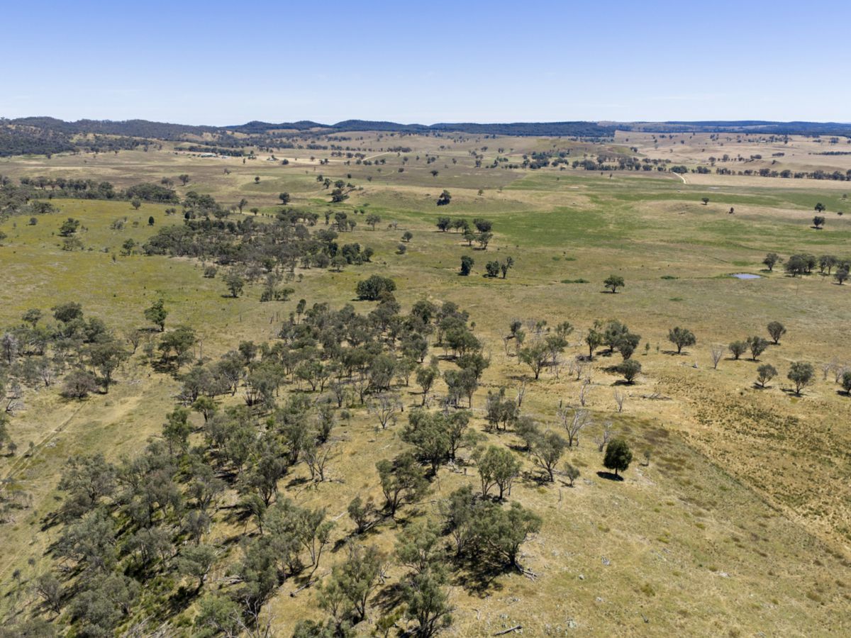 Gulgong, Central West, NSW