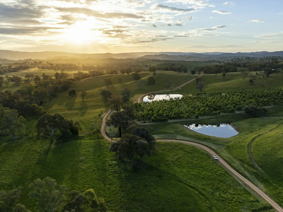 Mansfield, North Eastern, VIC