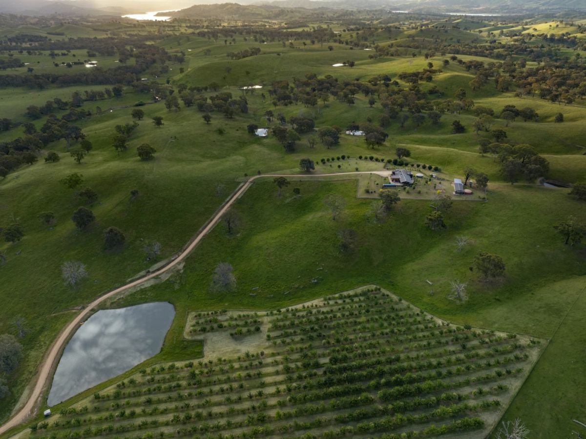 Mansfield, North Eastern, VIC