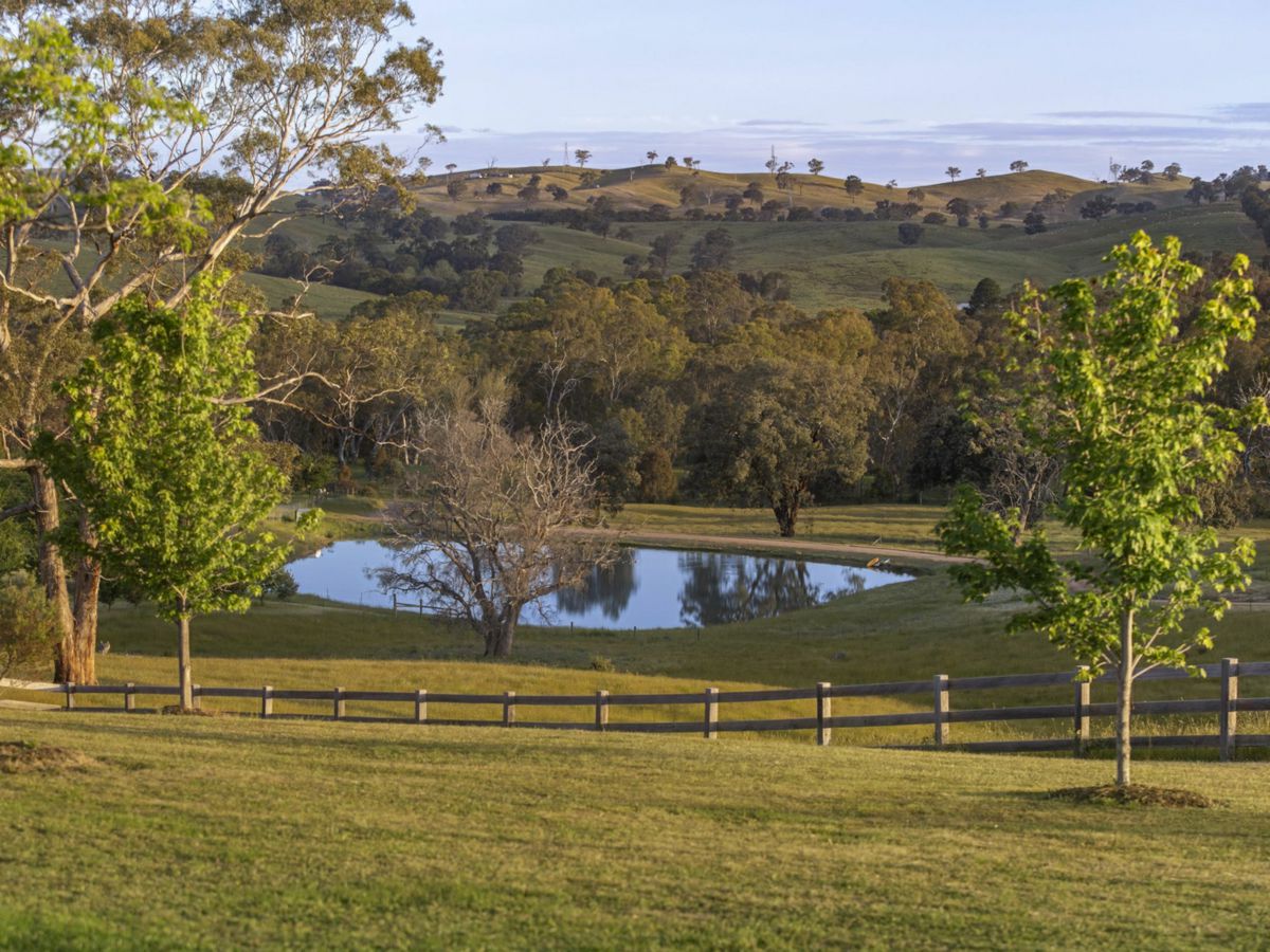 Mansfield, North Eastern, VIC