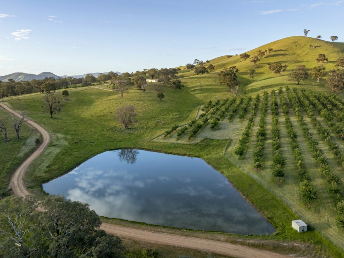 Mansfield, North Eastern, VIC