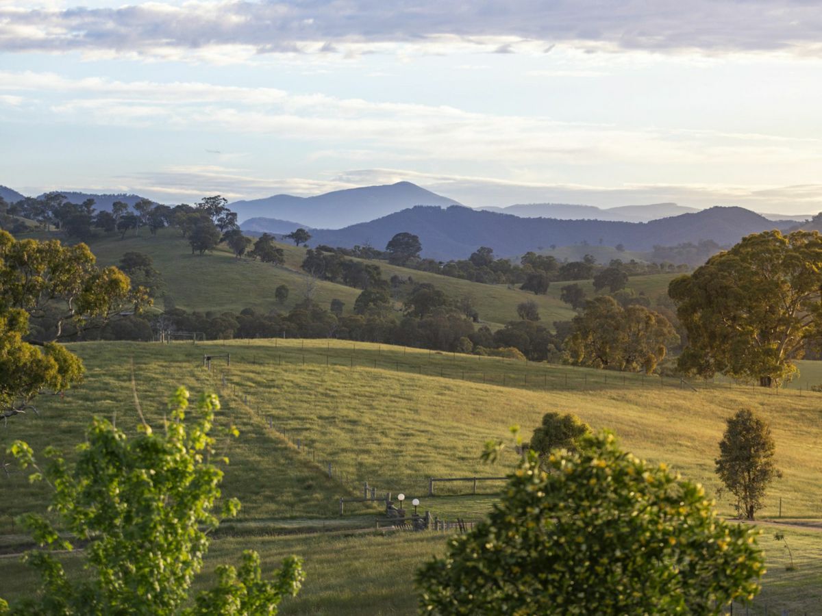 Mansfield, North Eastern, VIC