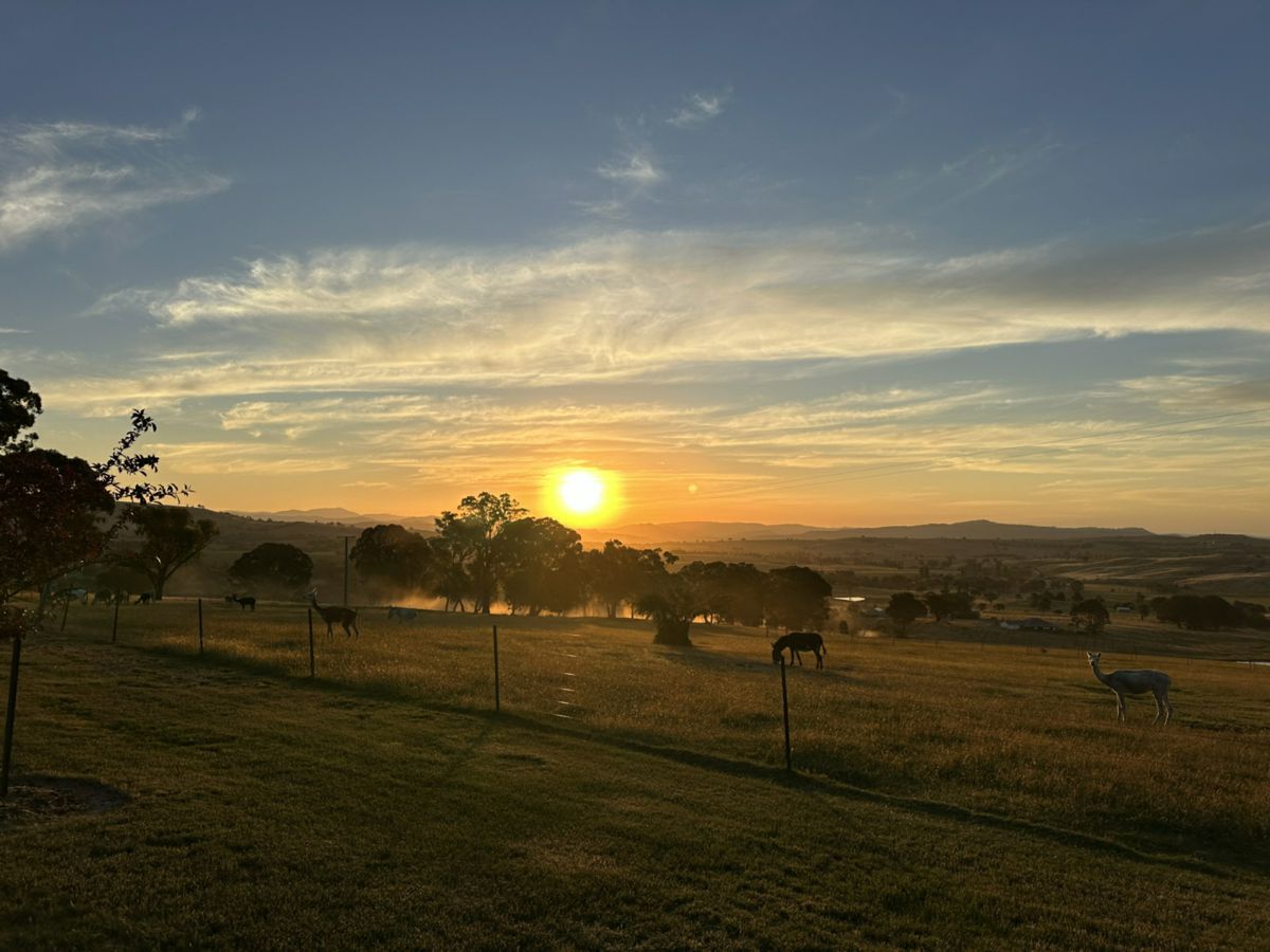 Merrijig, North Eastern, VIC
