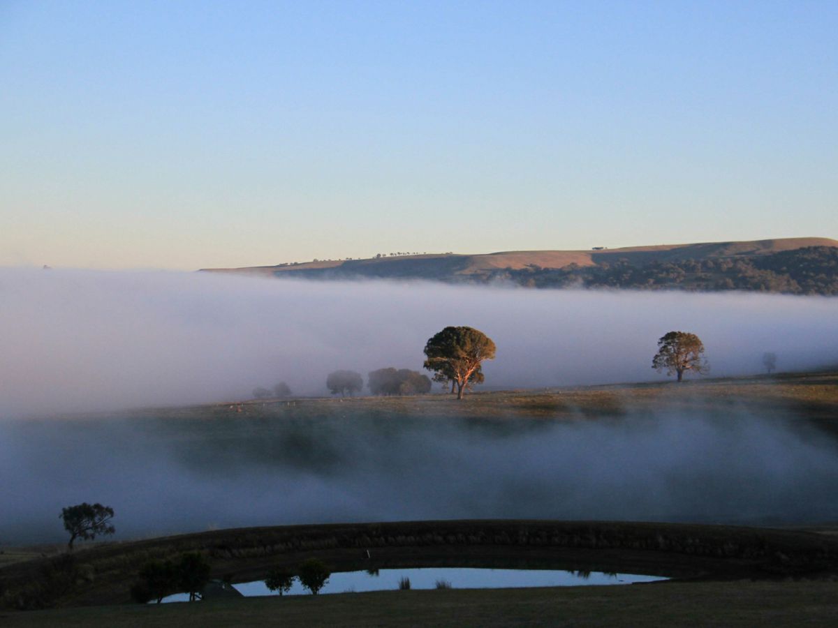 Merrijig, North Eastern, VIC