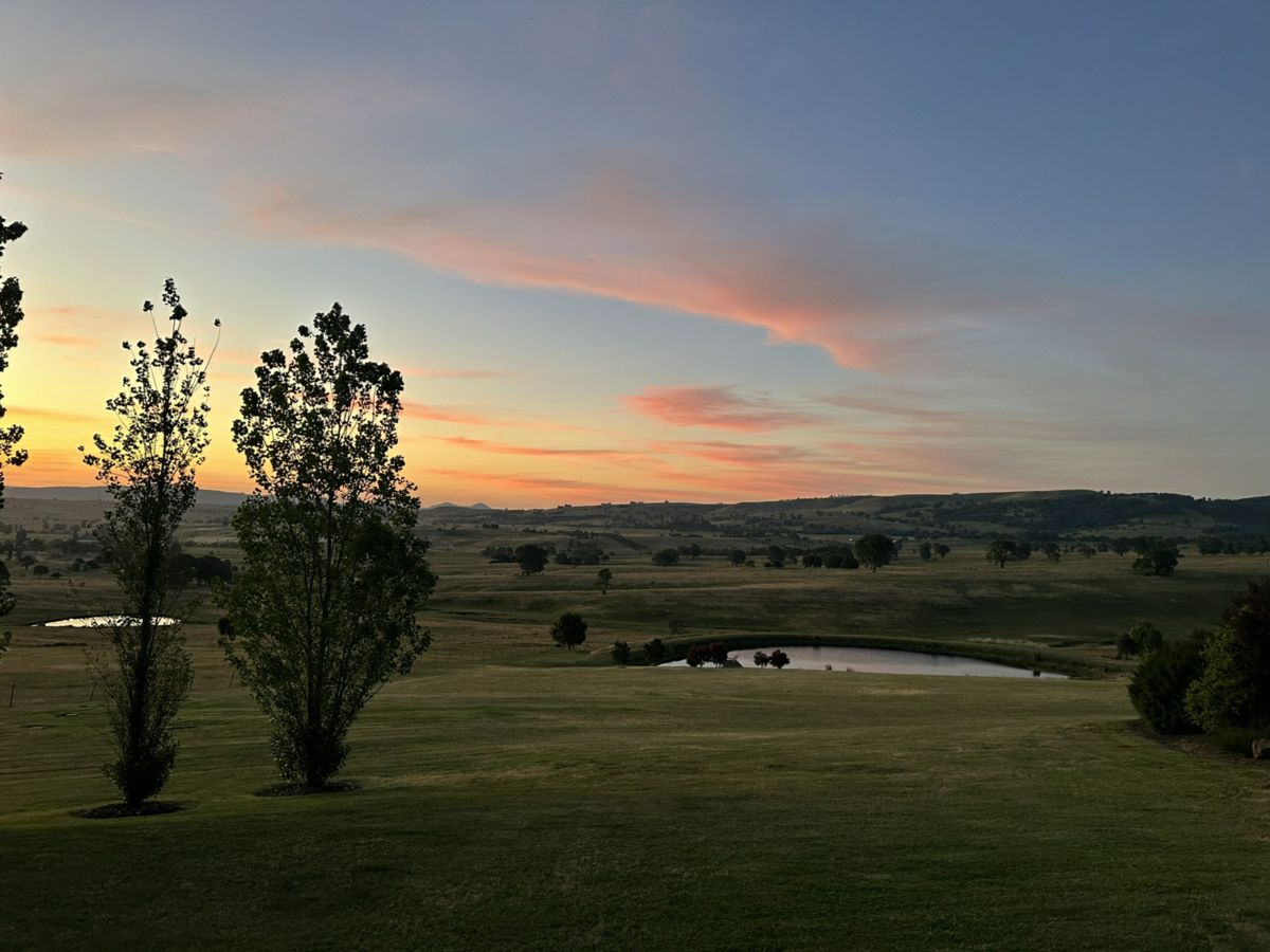Merrijig, North Eastern, VIC