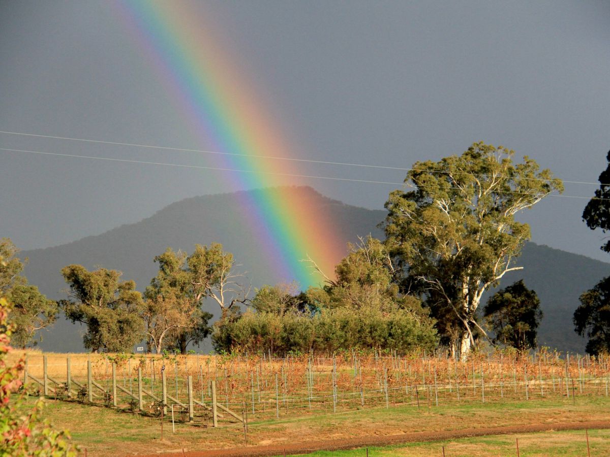 Merrijig, North Eastern, VIC