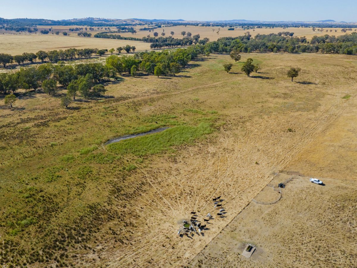 Yarragundry, Murray Region, NSW