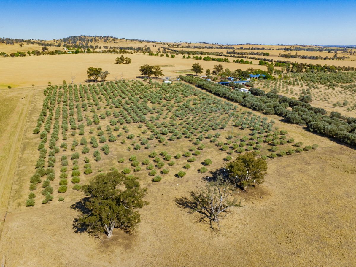 Yarragundry, Murray Region, NSW