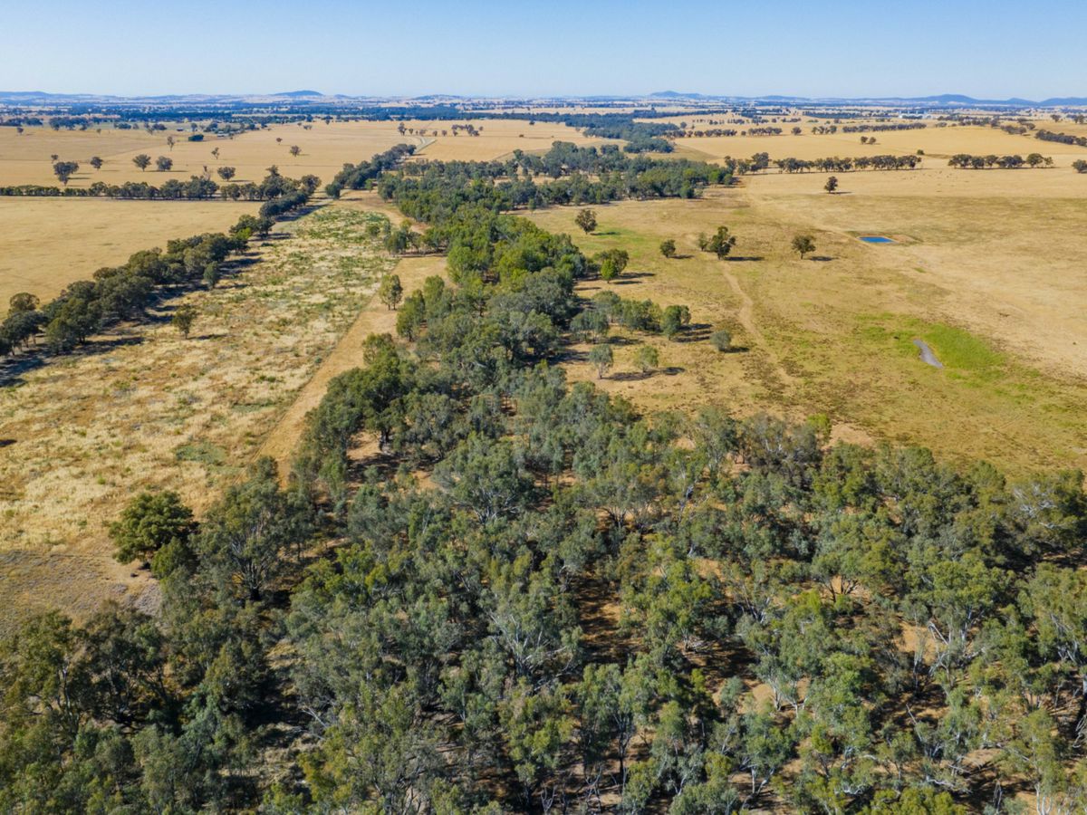 Yarragundry, Murray Region, NSW