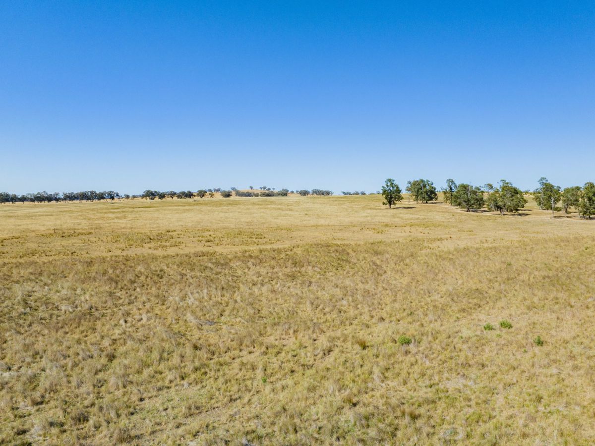 Yarragundry, Murray Region, NSW
