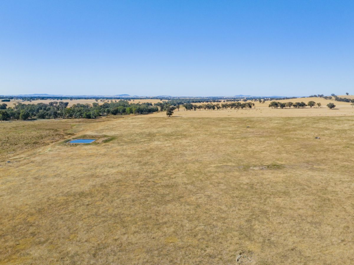 Yarragundry, Murray Region, NSW
