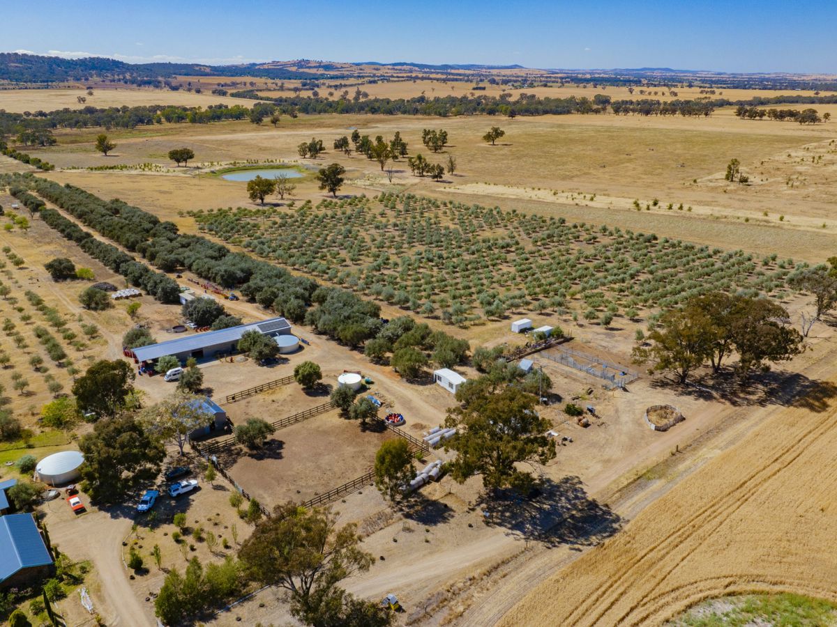 Yarragundry, Murray Region, NSW