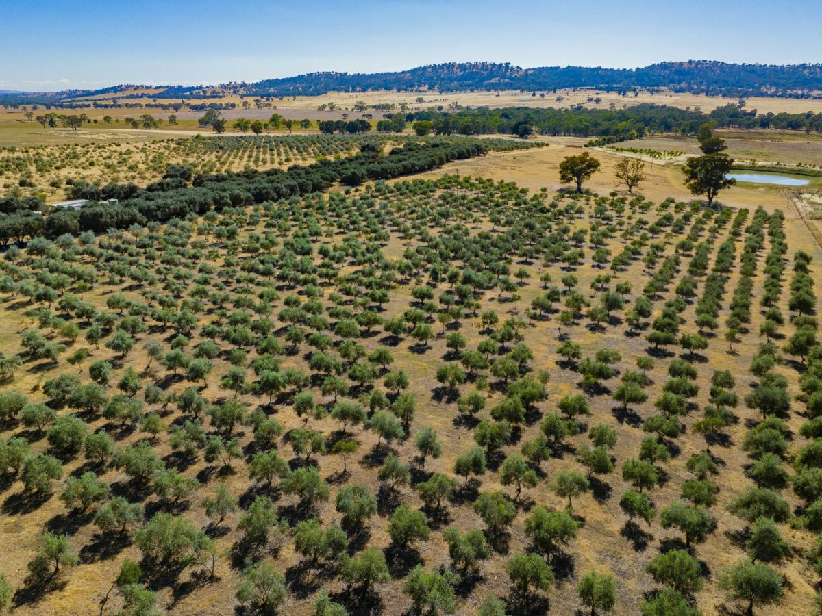Yarragundry, Murray Region, NSW