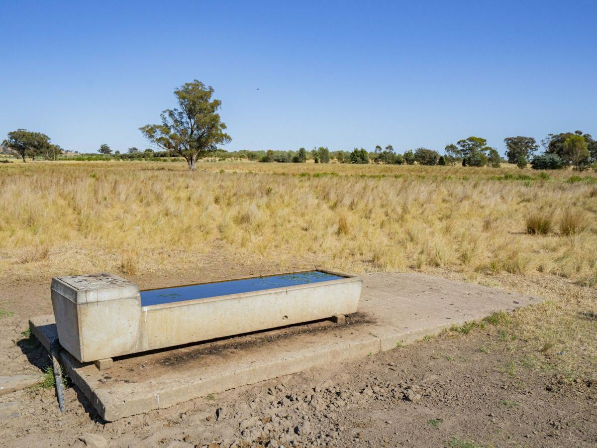 Yarragundry, Murray Region, NSW