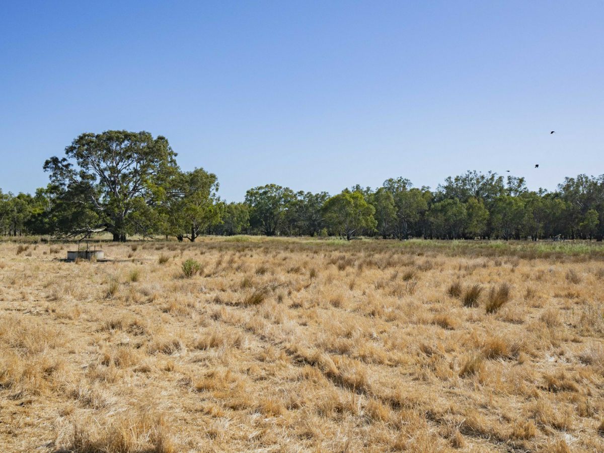 Yarragundry, Murray Region, NSW