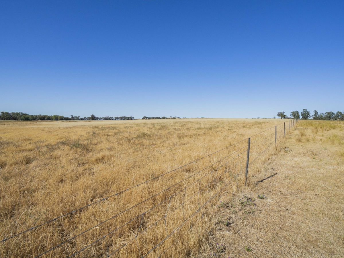 Yarragundry, Murray Region, NSW