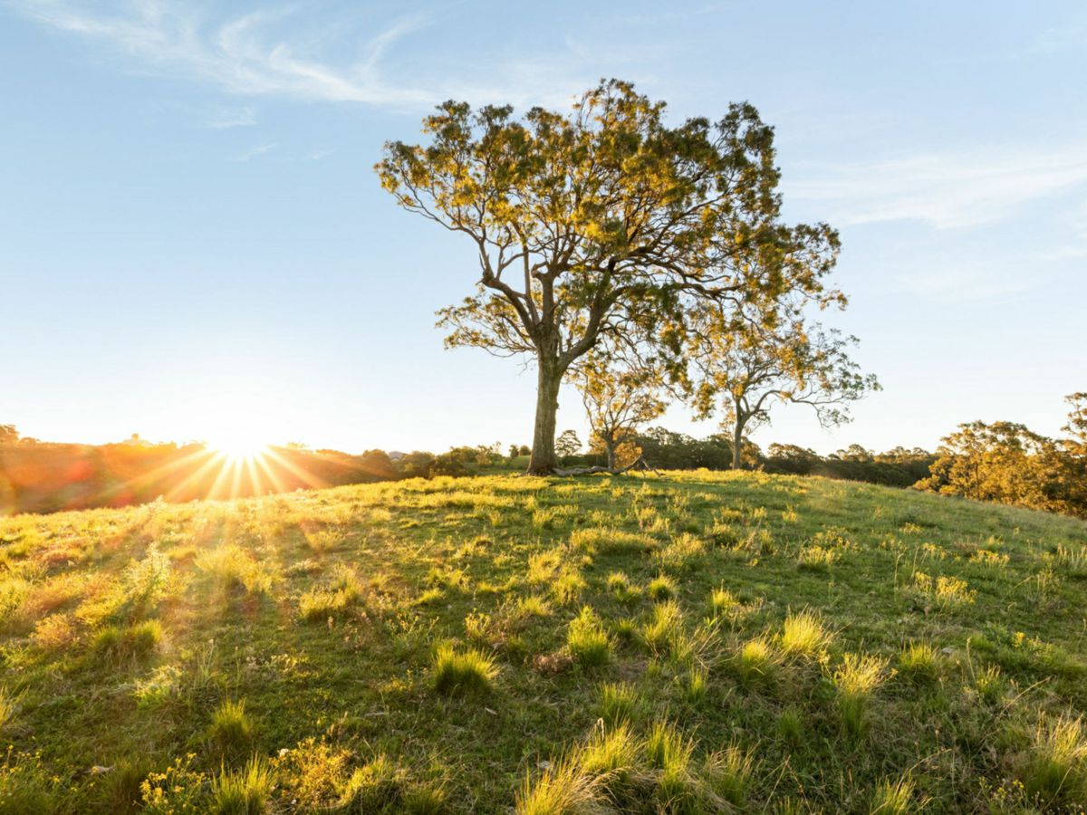 Razorback, Southern Highlands, NSW