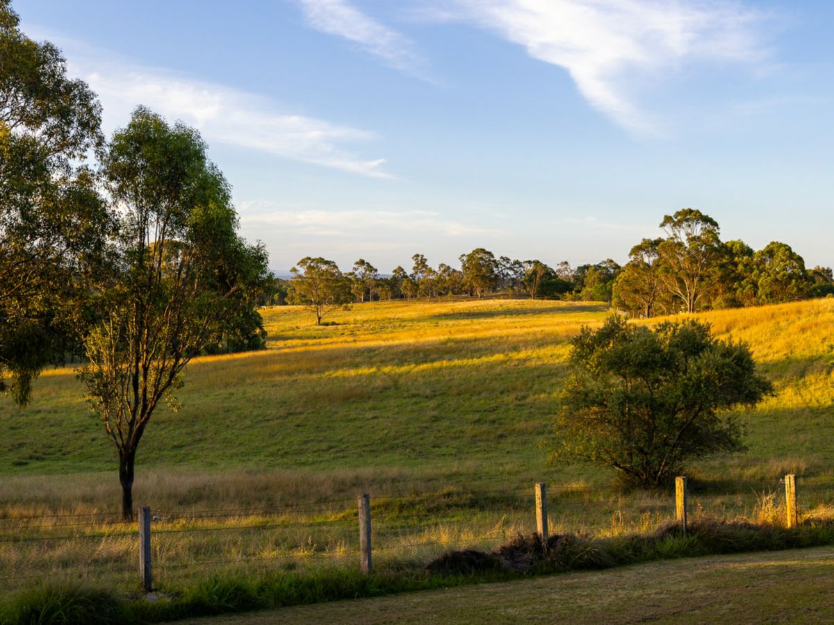 Cobbitty, Macarthur/Camden, NSW