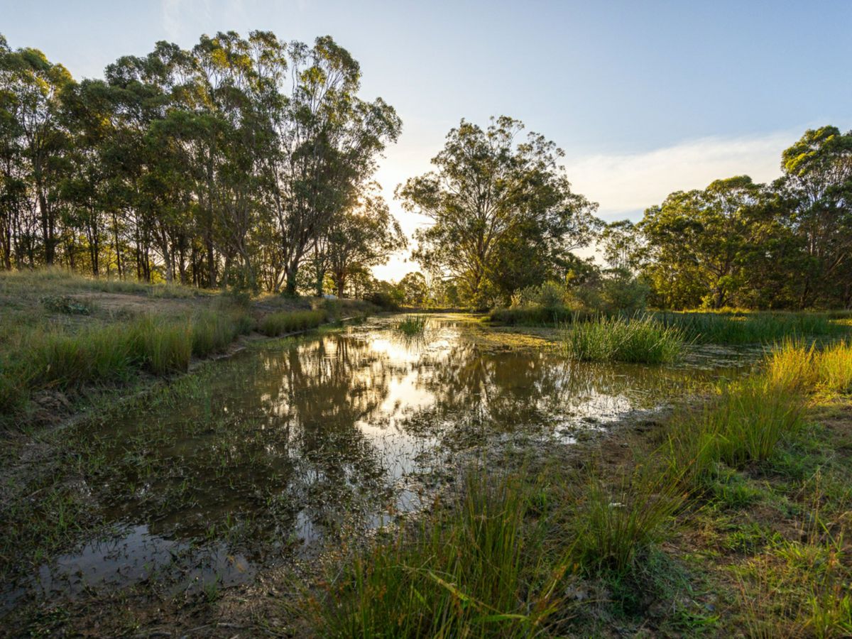 Cobbitty, Macarthur/Camden, NSW