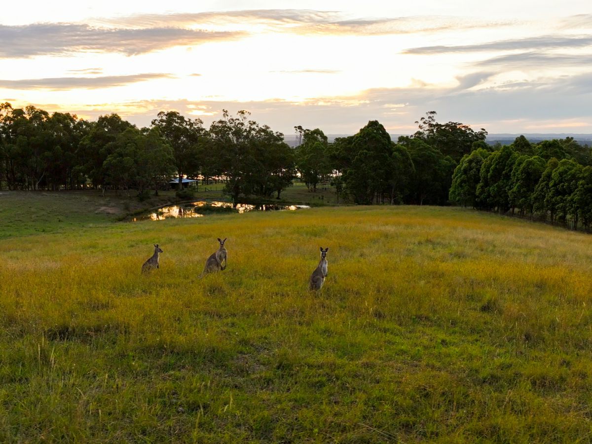 Cobbitty, Macarthur/Camden, NSW