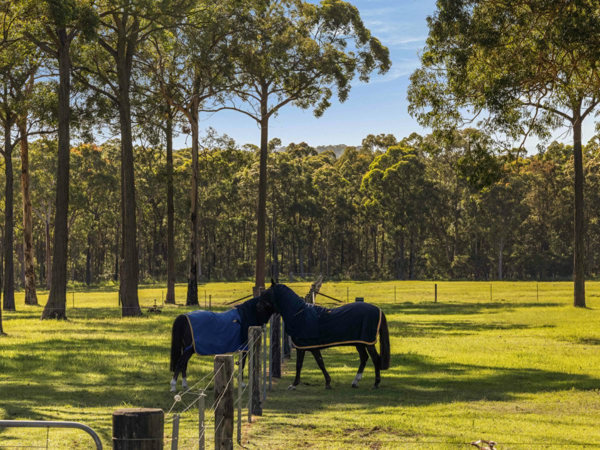 The Oaks, Macarthur/Camden, NSW