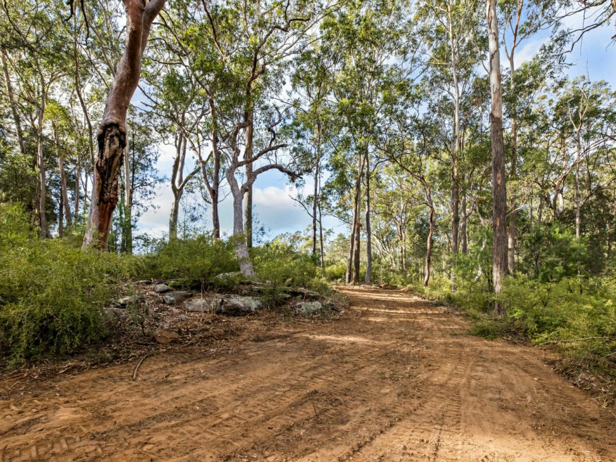 Theresa Park, Macarthur/Camden, NSW