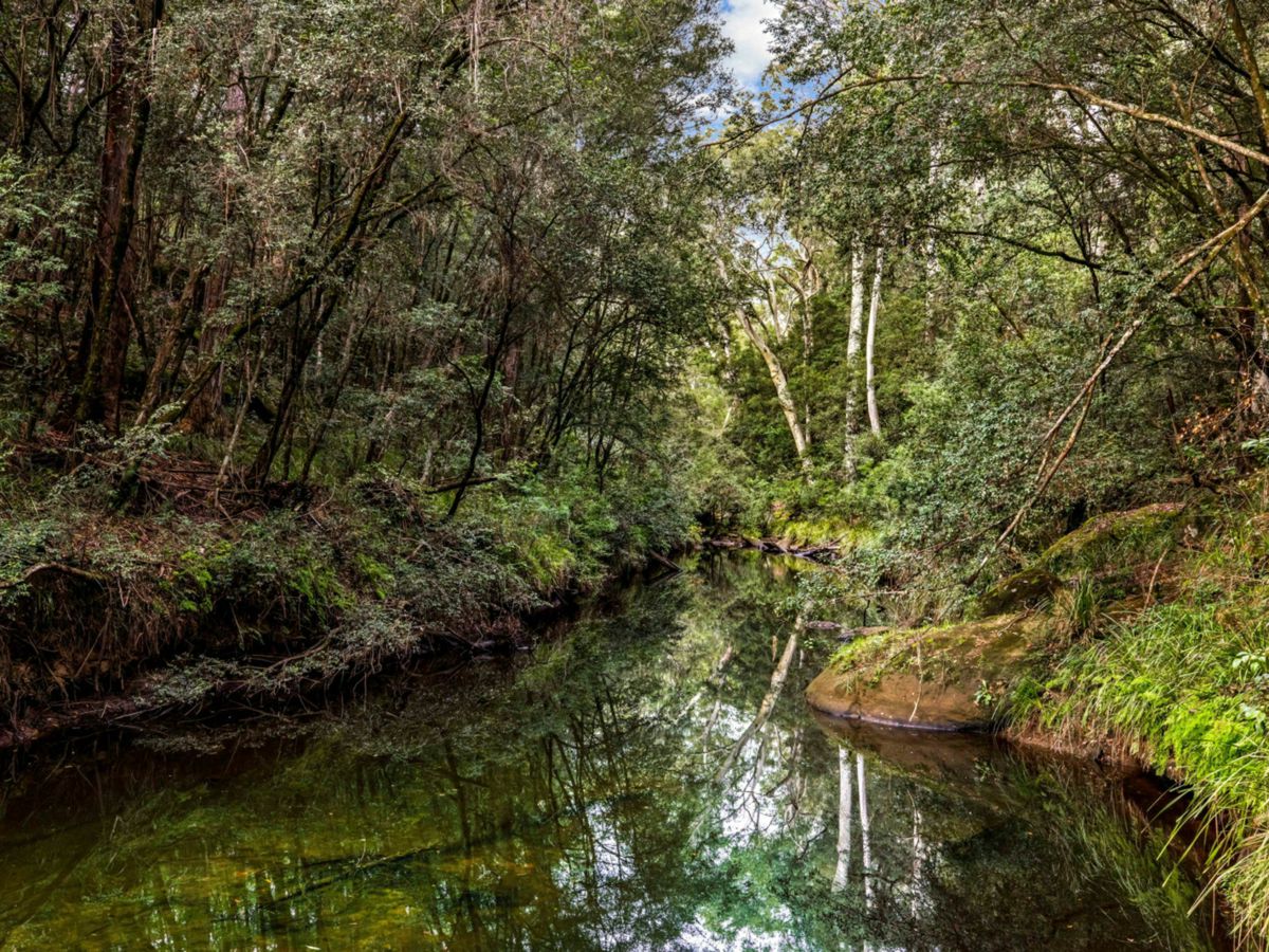 Theresa Park, Macarthur/Camden, NSW