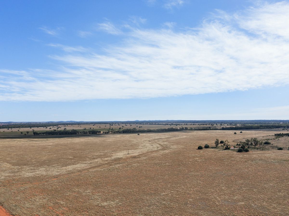 Boona Mount, Dubbo and Orana, NSW