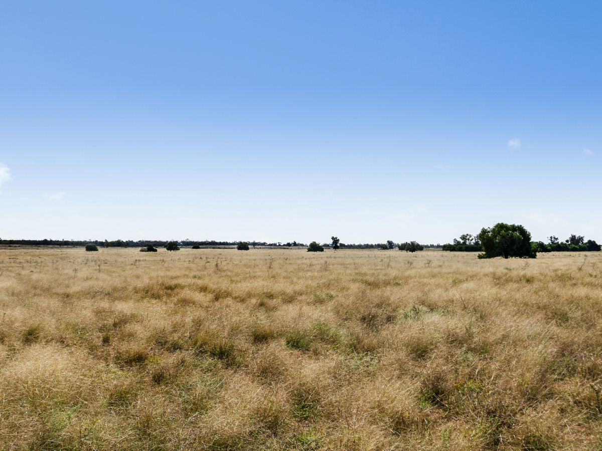 Boona Mount, Dubbo and Orana, NSW